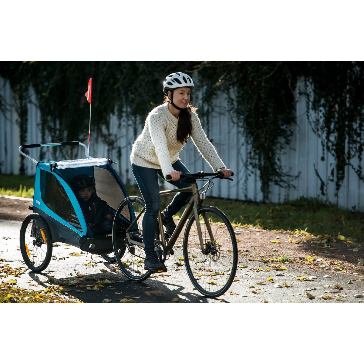 Carucior Chariot Thule Coaster XT Basil Green