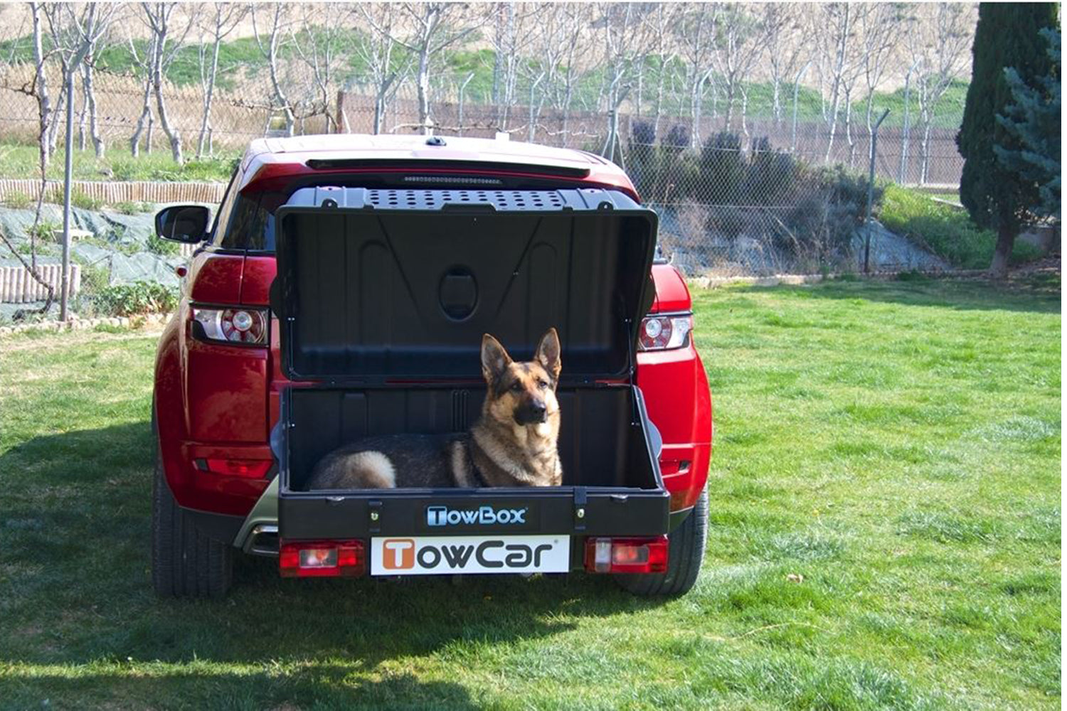 Cutie portbagaj pe carligul de remorcare Towbox V1 DOG Gri