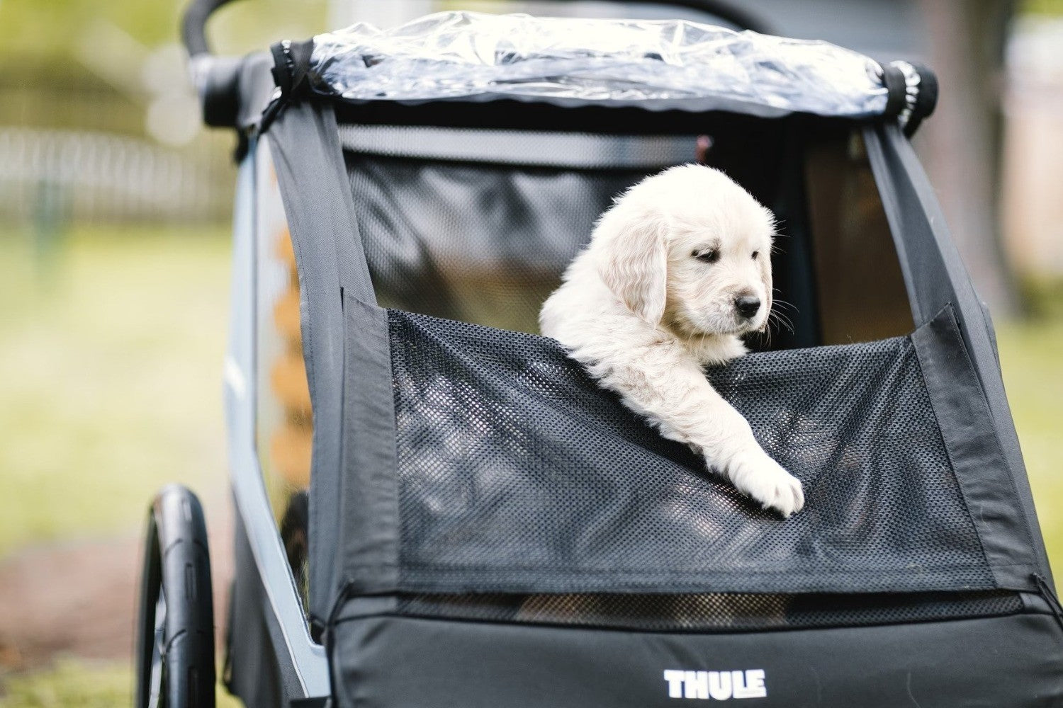 Kit transport animale pentru remorca de bicicleta Thule Courier