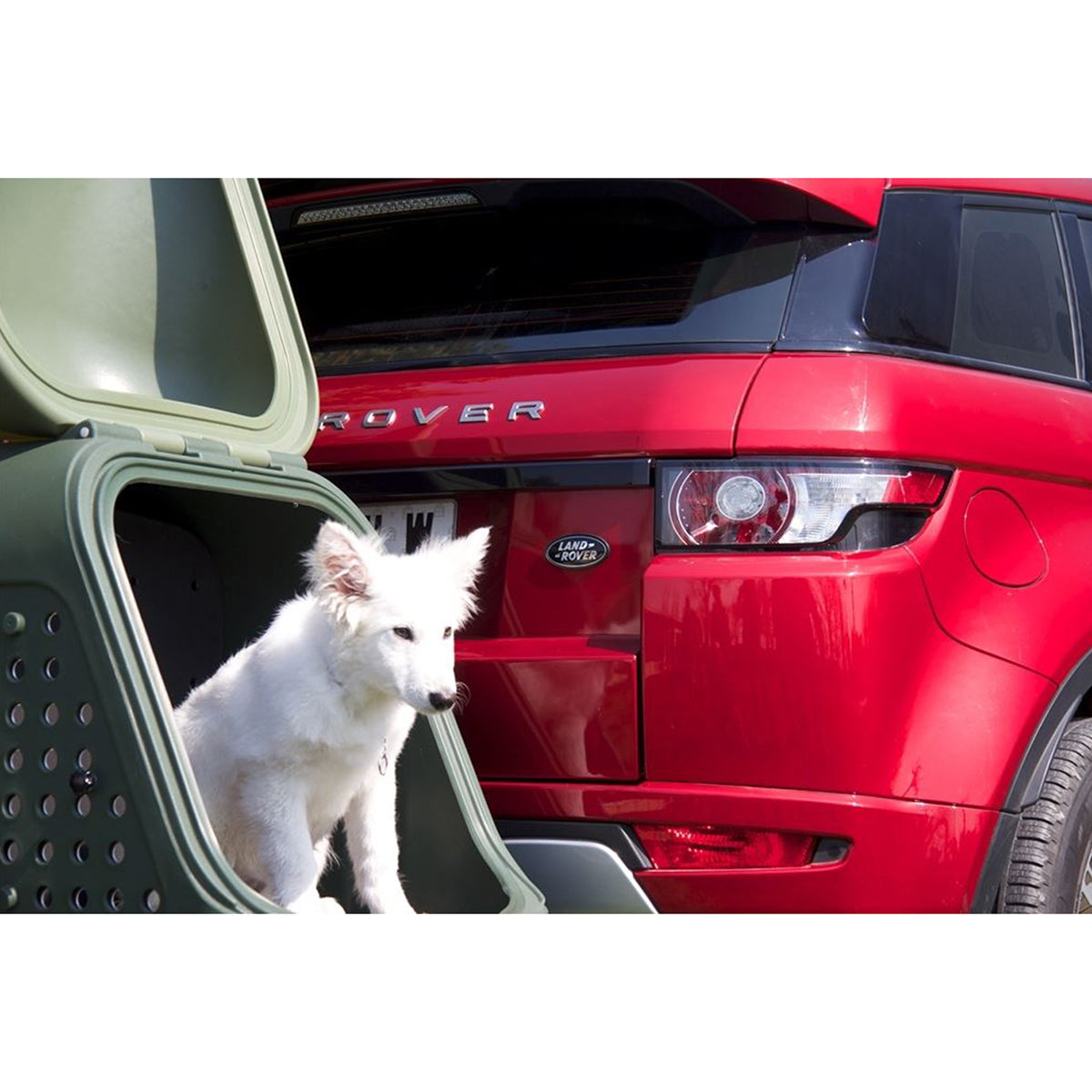 Cutie portbagaj pe carligul de remorcare Towbox V2 DOG Negru