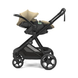Scaun auto Thule Maple pentru bebeluși 0 - 15 luni Fading Khaki
