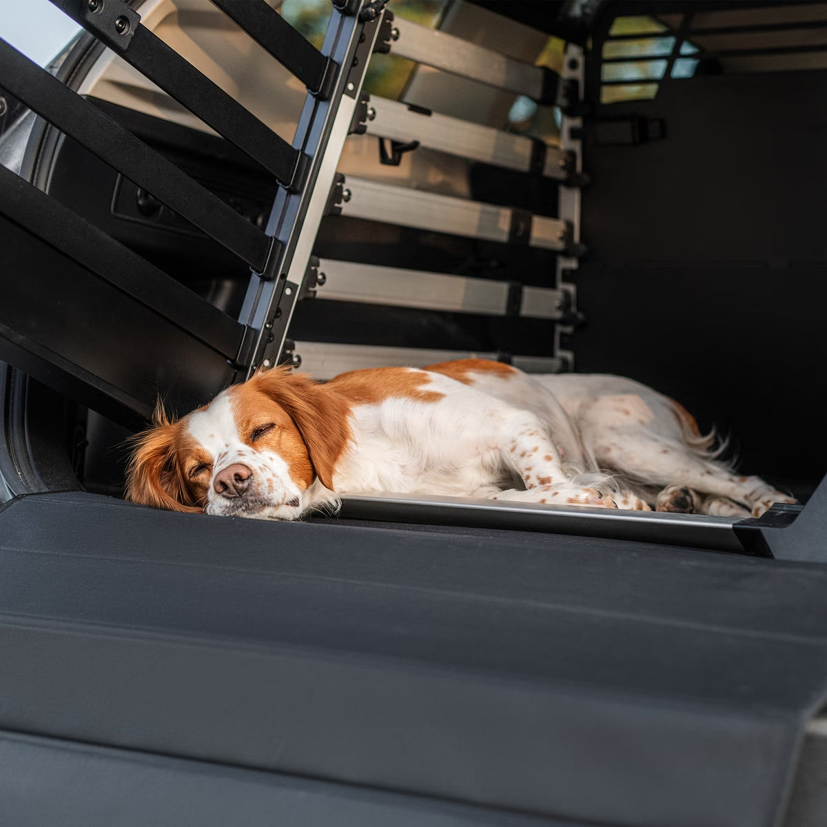 Covoras pentru cusca auto caini Thule Allax Standard