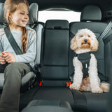 Ham auto pentru caini Thule Cappy, S