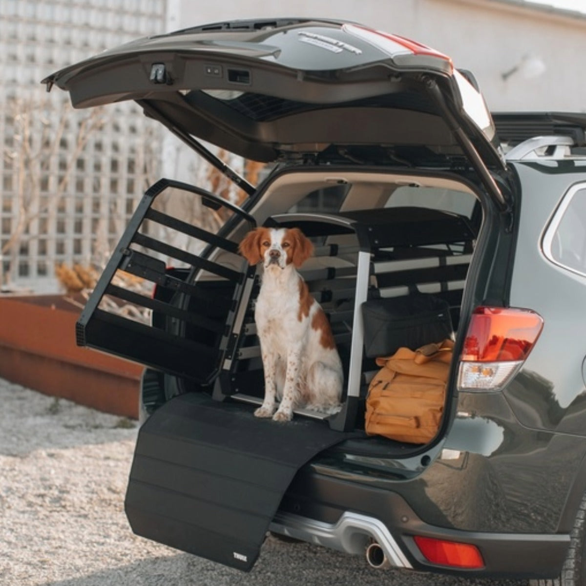 Cusca auto pentru caini Thule Allax XS